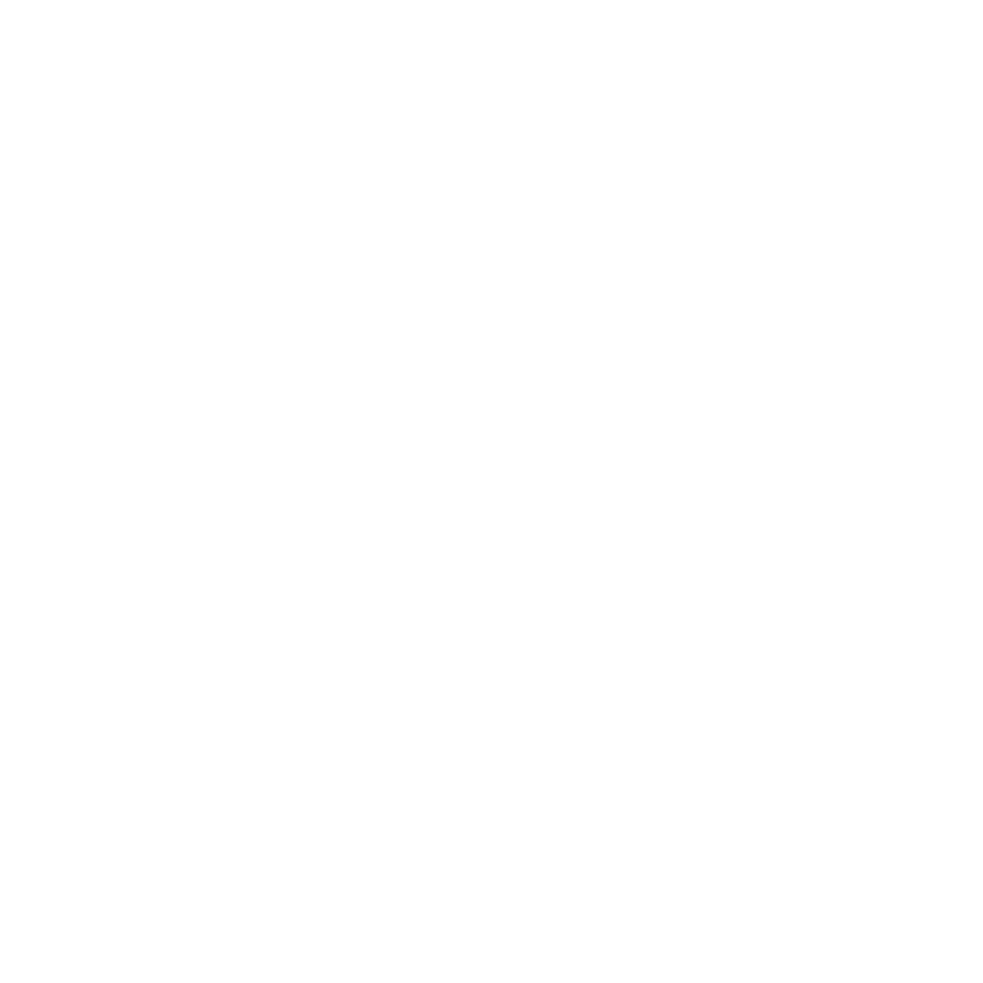 fermantte